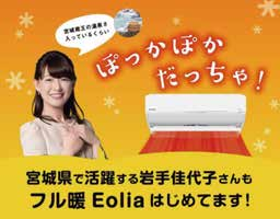 岩手佳代子が出演するパナソニック エオリアの広告